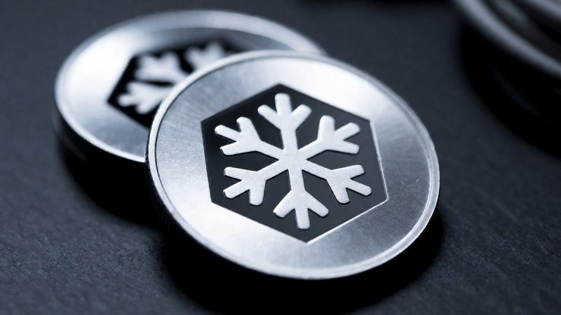 The history of Avalanche's subnet experiment