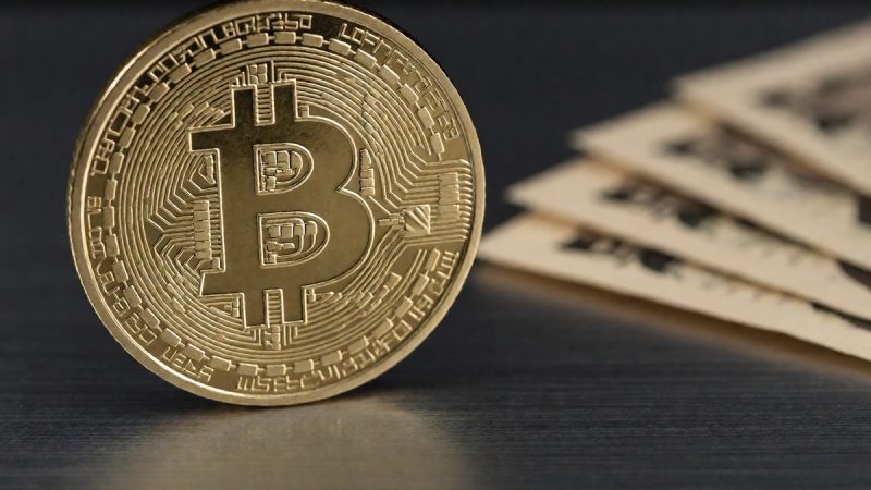 MicroStrategy Bitcoin treasury vs Metaplanet yen accumulation