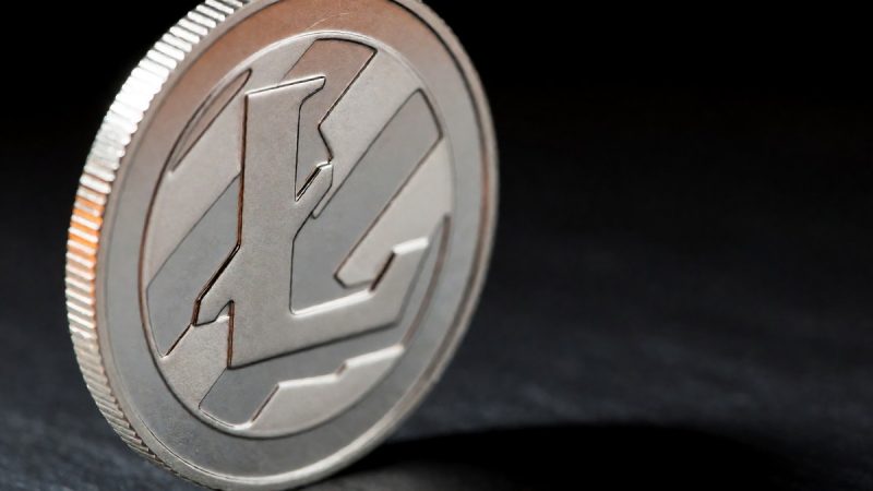 The history of Litecoin LTC price volatility
